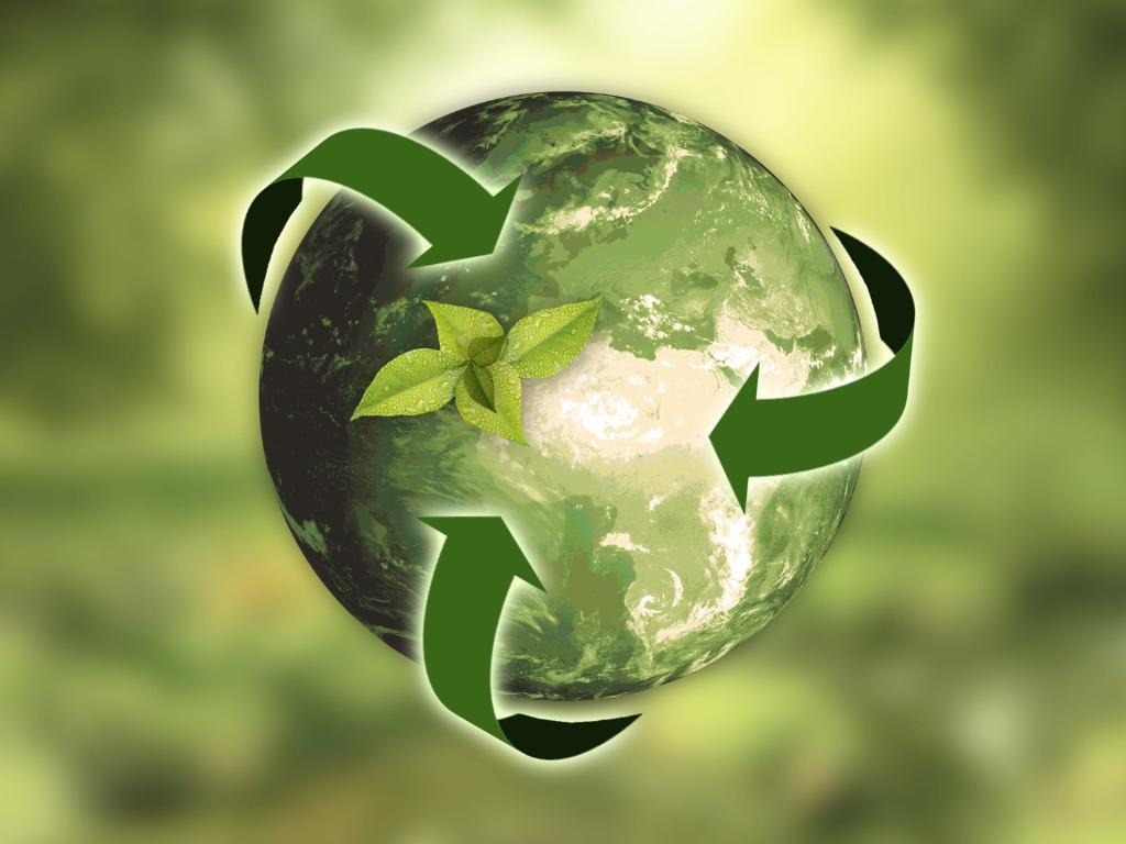 Building ⁢a Culture‍ of Sustainability: Engaging Employees​ in ‍Eco-Friendly Initiatives